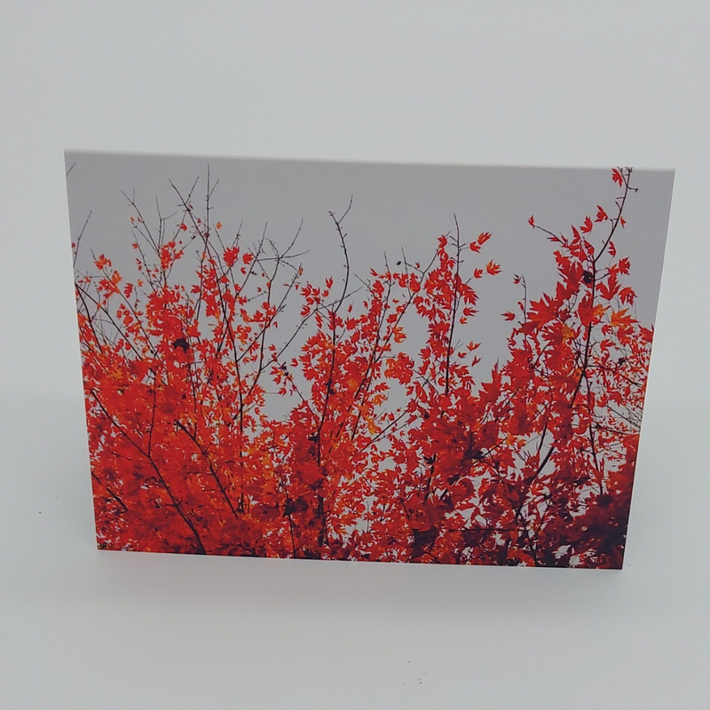 Greeting Card